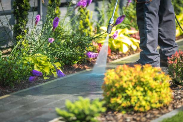 Surfside Beach, SC Pressure Washing Services Company